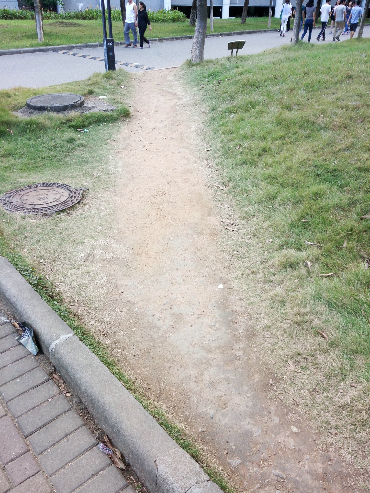 关于华南师范大学大学城校区校园踩踏草坪修复的调研复制