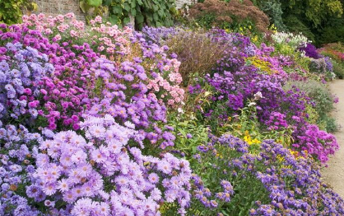 会选择和其合影:我会留意杭州花境冬季景观植物配置的变化:我会留意