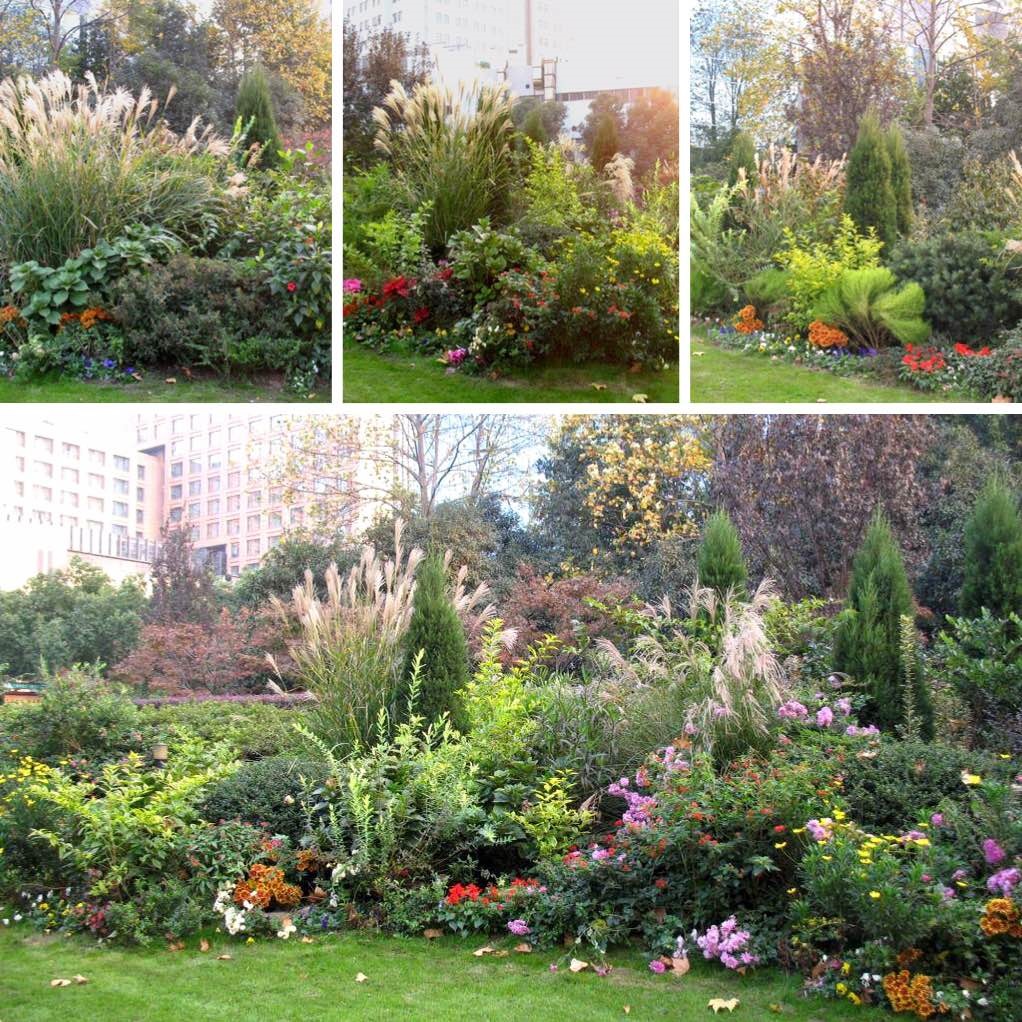 完全反对反对一般同意完全同意我知道杭州市部分冬季花境的植物名称