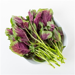 水培蔬菜市场调查问卷不记名